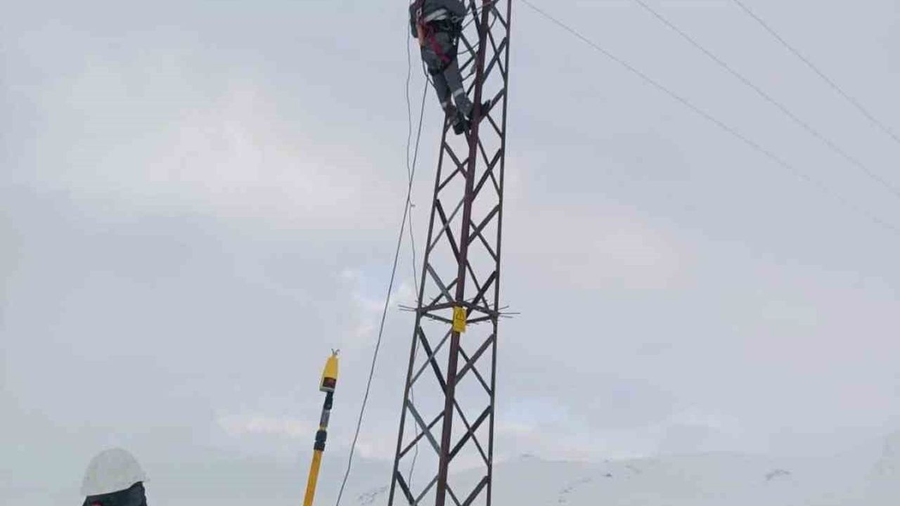 Dicle Elektrik 6 ilde kar mesaisi: Güneydoğu'da kesintisiz enerji için sahada geniş ekip