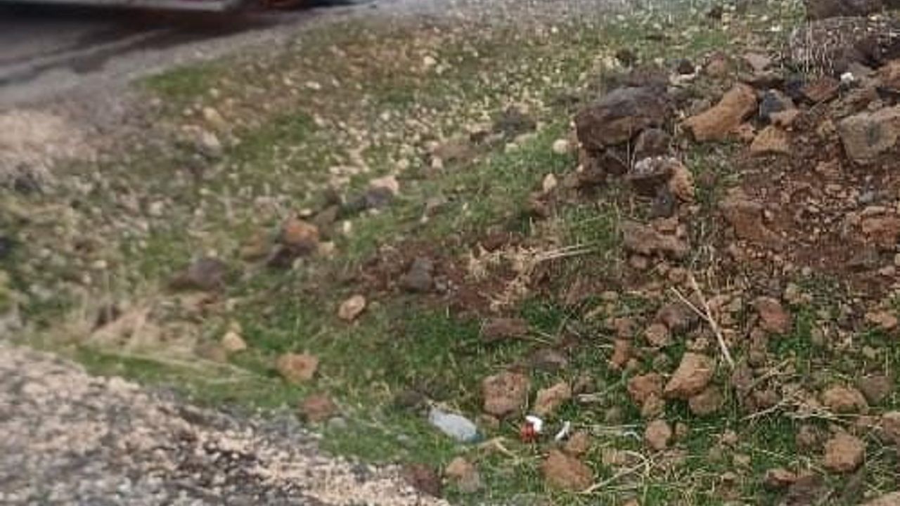 Diyarbakır Çınar'da seyir halindeki tırın dorsesinde yangın; sürücü kabini ayırarak kabini korudu