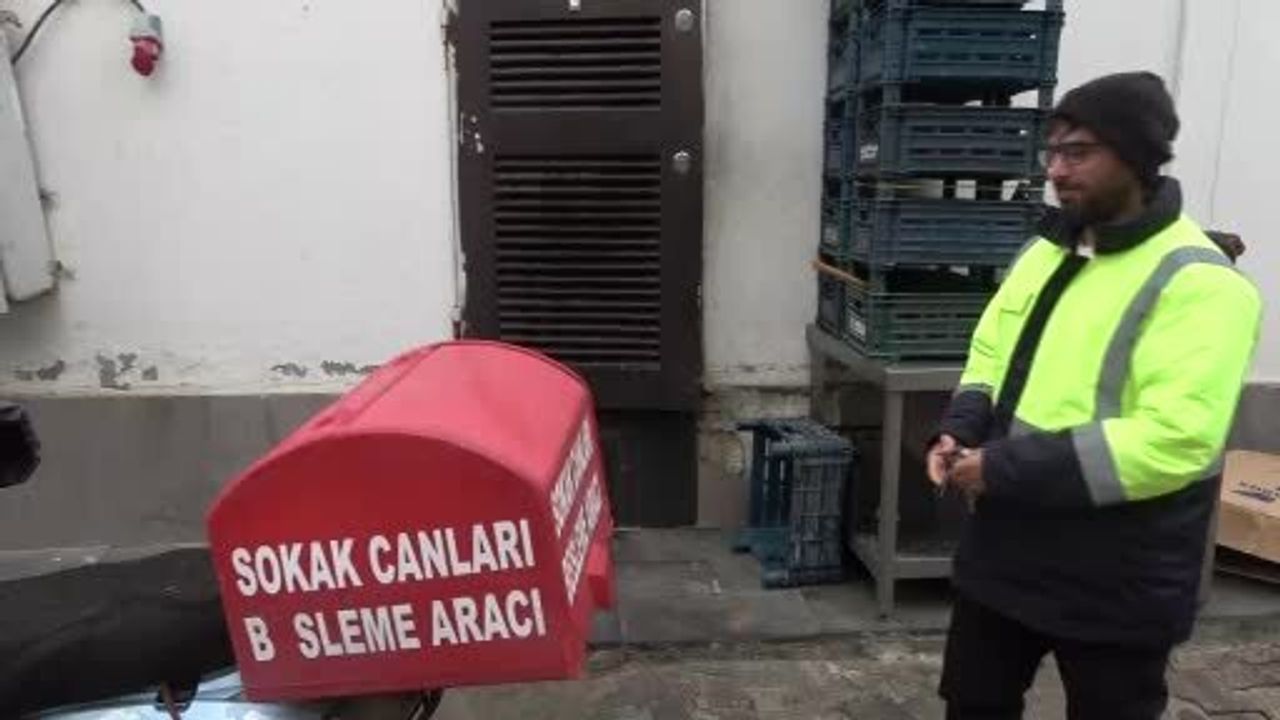 Diyarbakır'da hayatını sokak hayvanlarına adayan Kadir Aydoğmuş