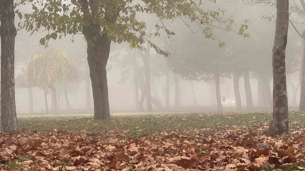 Diyarbakır'da sabah sisleri görüş mesafesini düşürdü