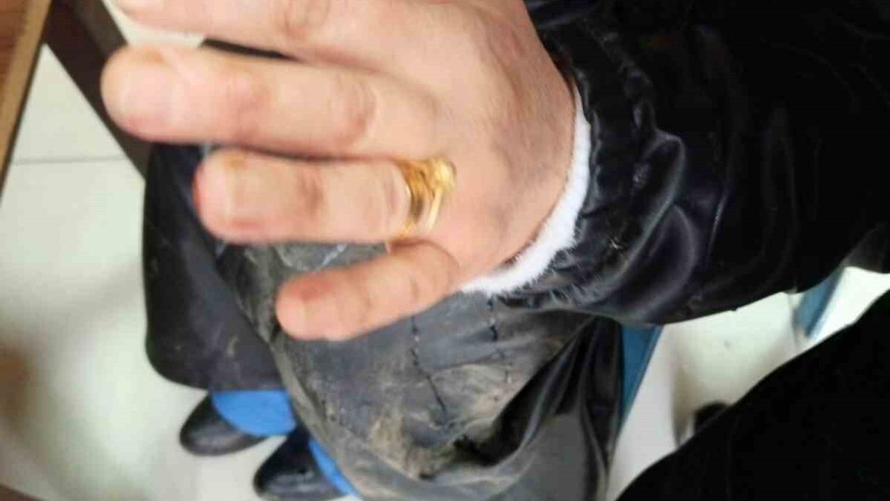 Diyarbakır Yenişehir'de başıboş köpek saldırısı: 2 kişi yaralandı