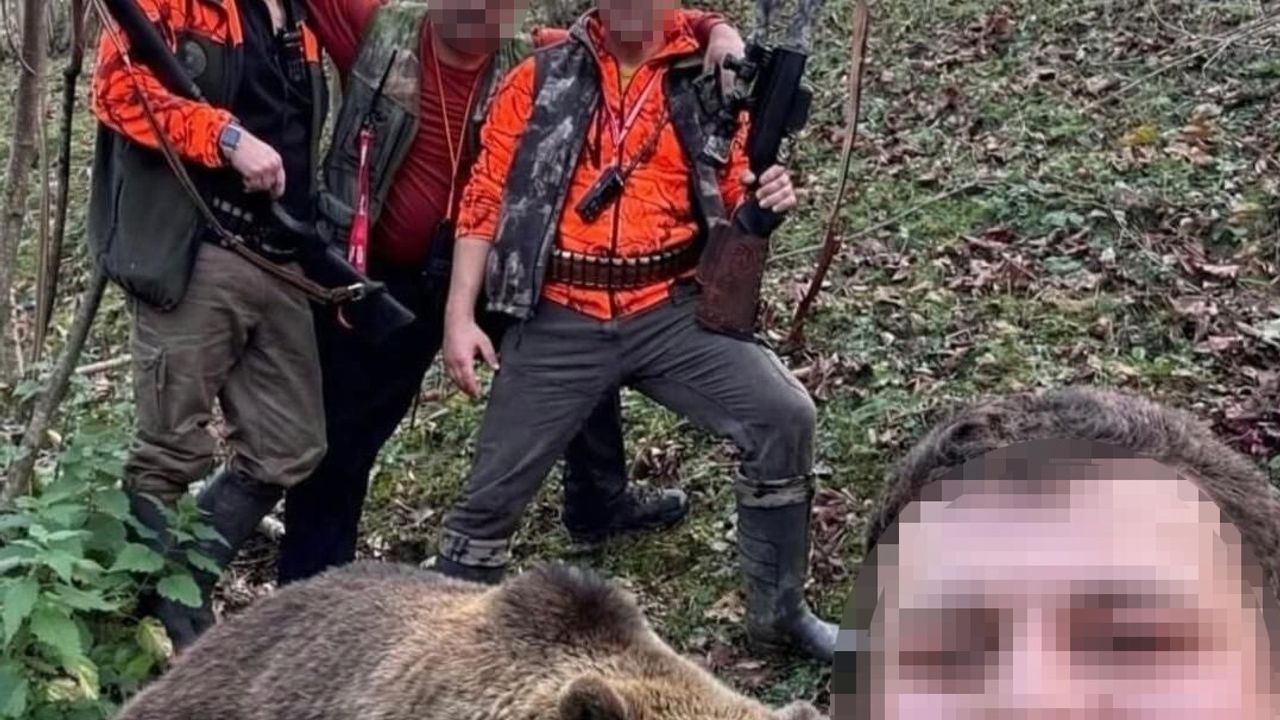 Doğu Karadeniz'de artan ayı şikayetleri üzerine sürek avı: İlk ayı Trabzon'da vuruldu