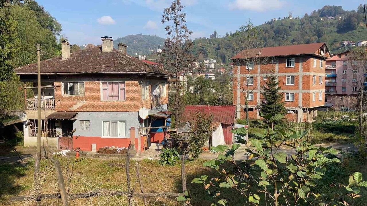 Doğu Karadeniz’de sıvasız tuğla yapılar: Estetikten enerjiye, yapı ömrüne etkileri