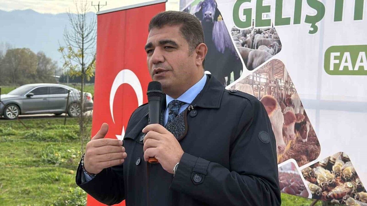 Düzce’de 17 damızlık manda boğası üreticilere teslim edildi: Sürü verimliliği ve ıslah hedefleniyor