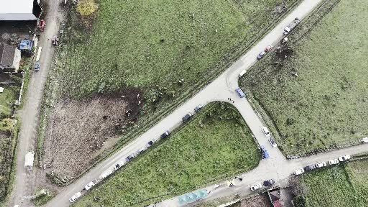 Düzce'de manda yetiştiriciliğine destek: 17 damızlık manda boğası üreticilere teslim edildi