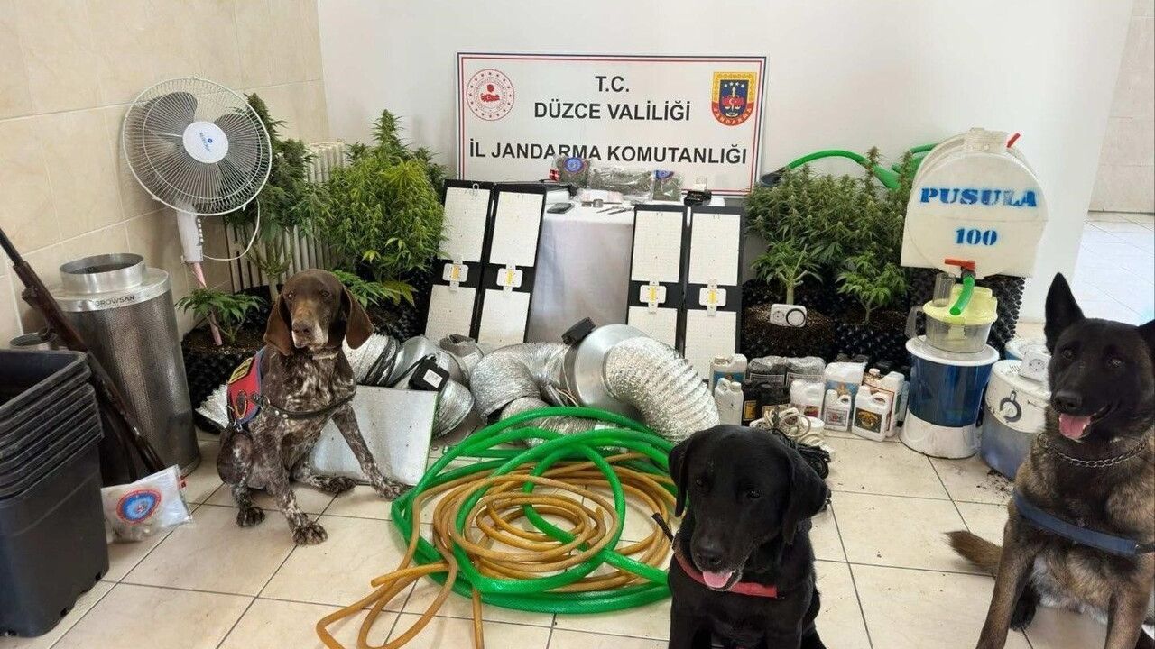 Düzce'de uyuşturucu operasyonu: 1 şüpheli gözaltına alındı