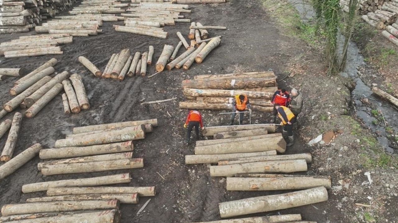 Düzce'den 11 ayda 22 bin 310,95 ton orman ürünü ihraç edildi