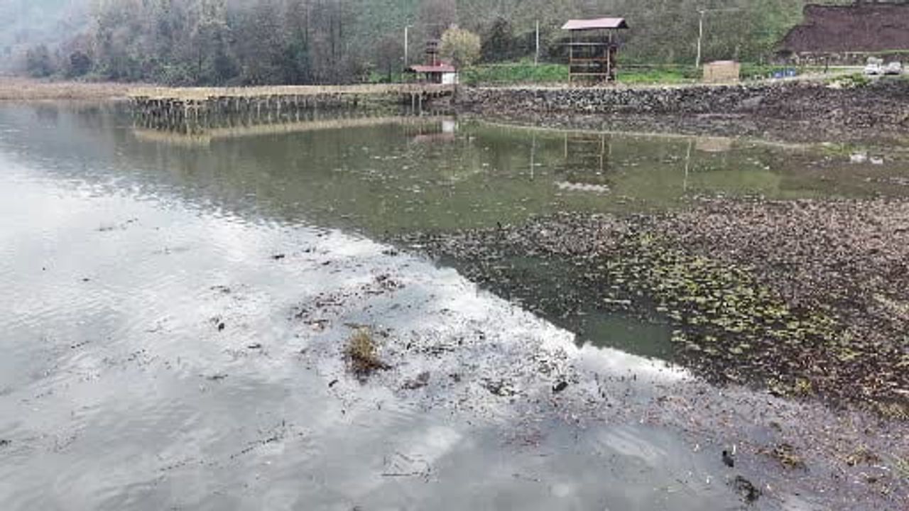 Düzce Efteni Gölü'nde çevre düzenlemesi ve 'engelsiz alan' çalışmaları sürüyor