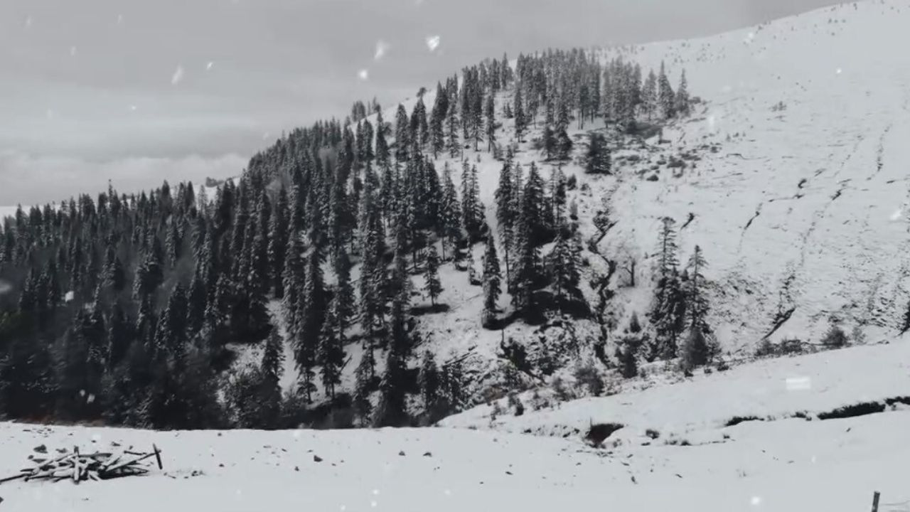 Düzce’nin yüksek kesimleri karla kaplandı: Sinekli ve yaylalar beyaza büründü