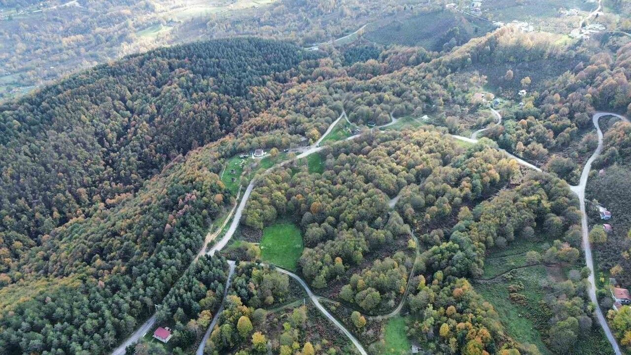 Düzce ormanlarında sonbahar renkleri: Gırgın Mesire Alanı'nda kartpostallık manzaralar