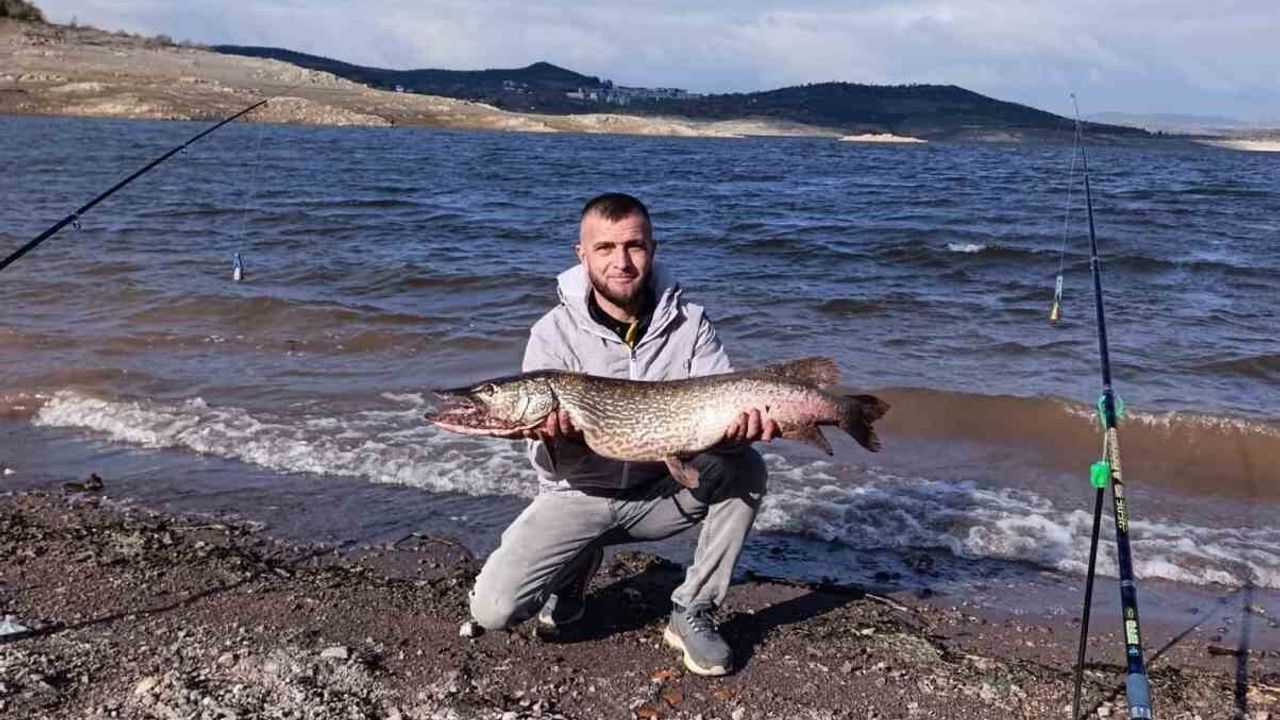 Düzeltme: Sındırgı Çaygören Barajı'nda 8 kilo 750 gramlık turna ve karaca görüntüsü