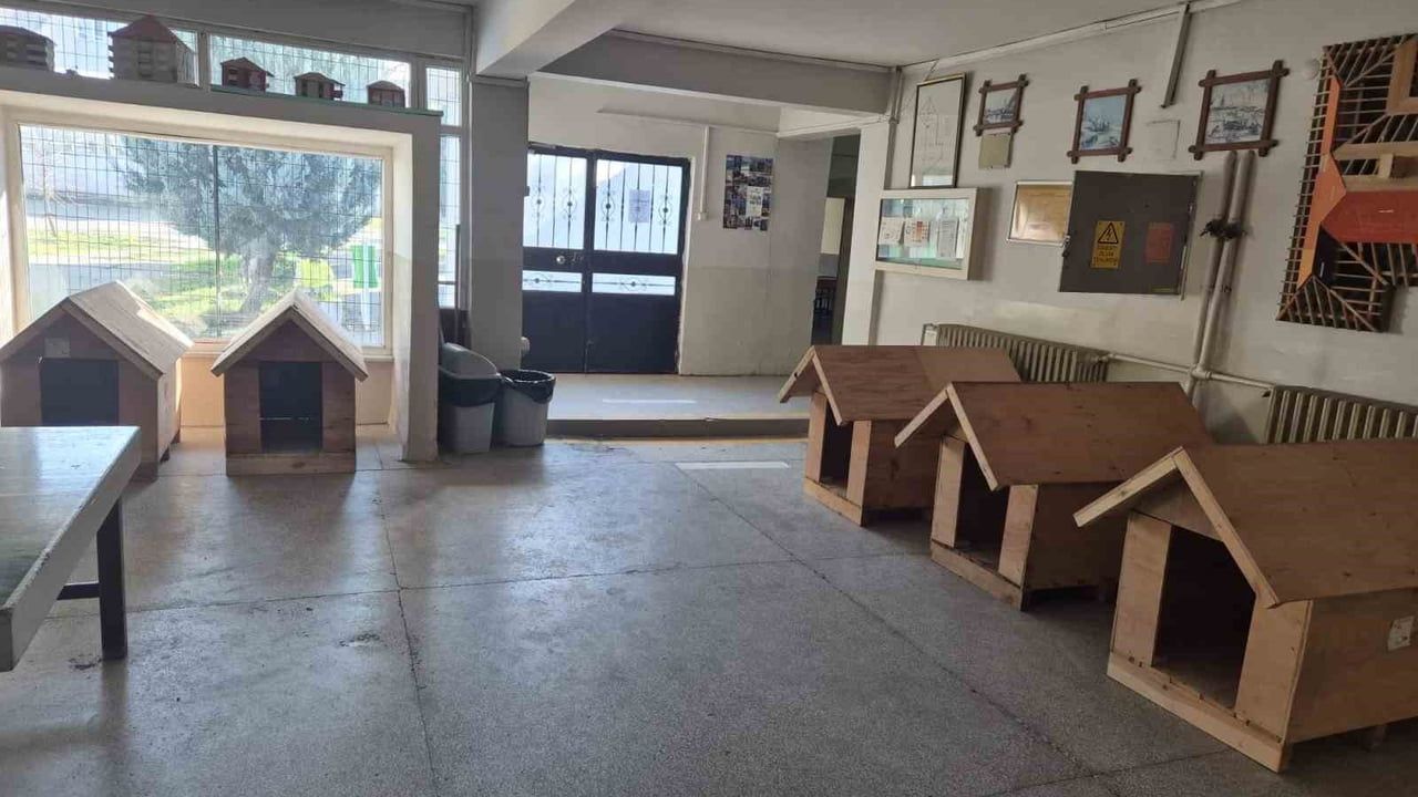 Edirne'de Meslek Liselilerden Sıfır Atık Kapsamında Sokak Hayvanlarına Kulübe Desteği