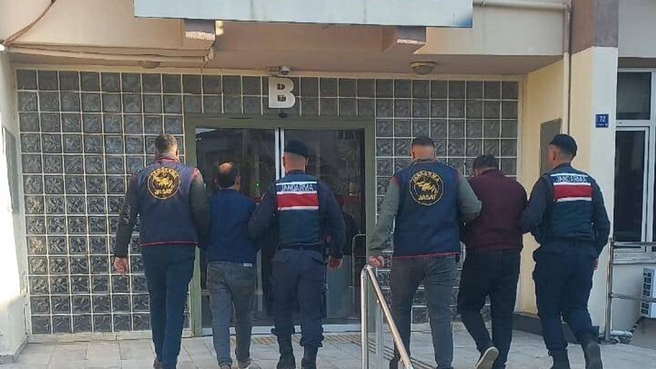 Efeler'de 400 kilogram zeytin çalındı; ürün Köşk'teki fabrikada bulundu, 2 gözaltı