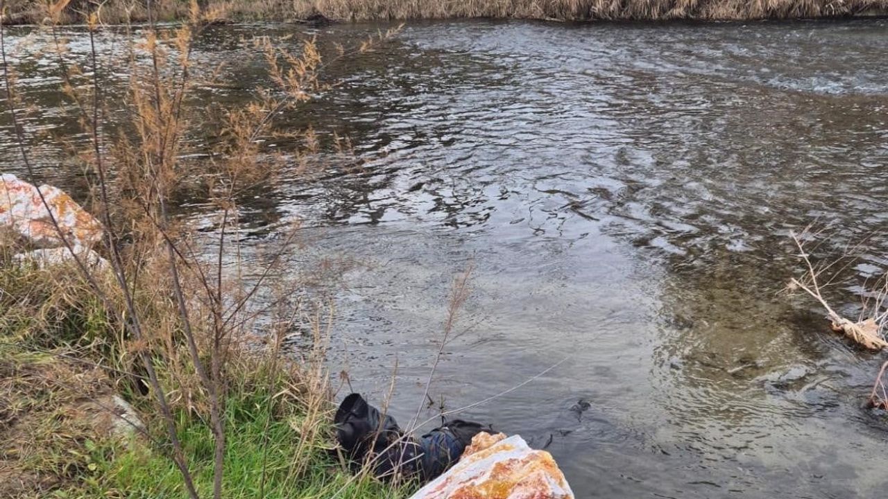 Ege Ekspresi Tavşanlı yakınlarında yayaya çarptı; 79 yaşındaki kişi hayatını kaybetti