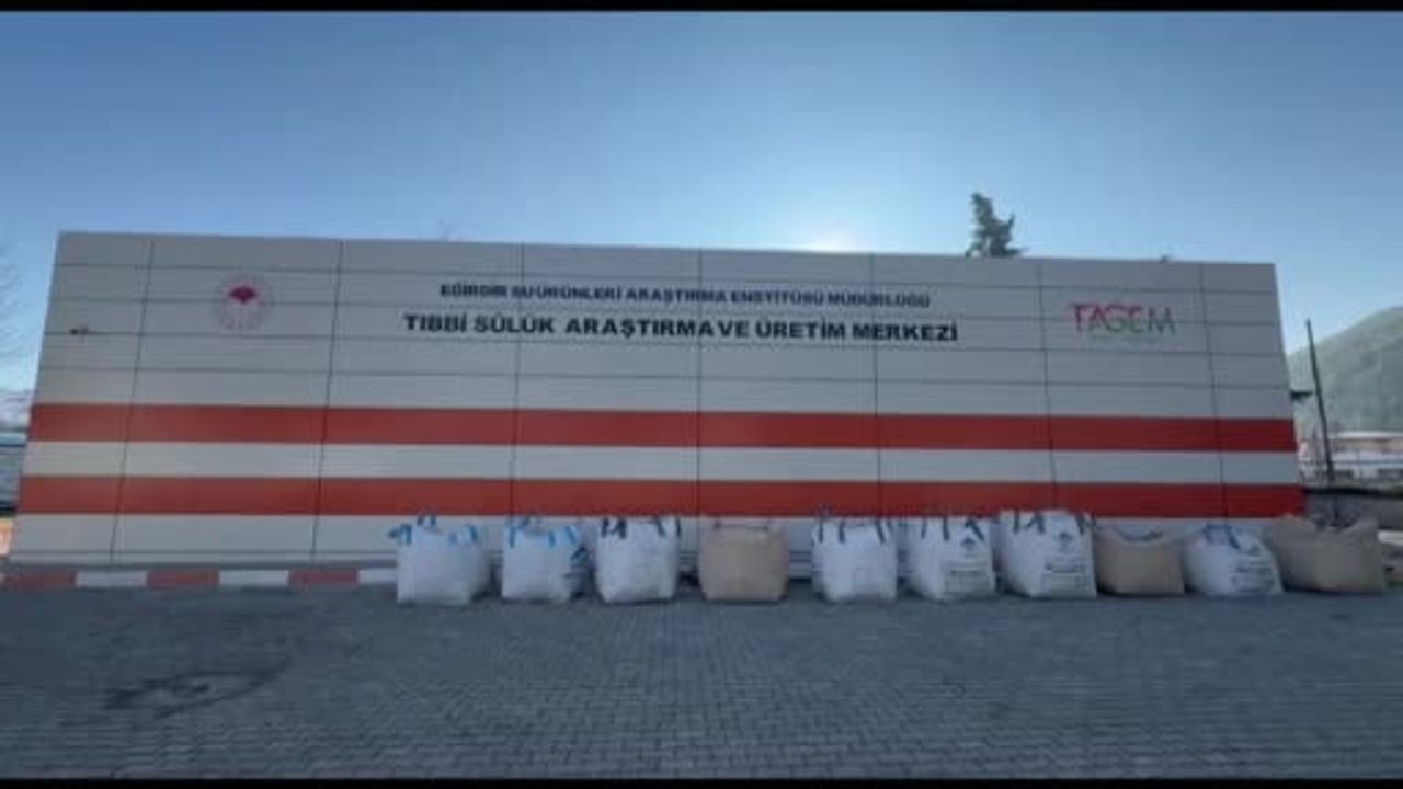 Eğirdir'de Yılda Yaklaşık 20 Bin Steril Tıbbi Sülük Üretimi Sürüyor