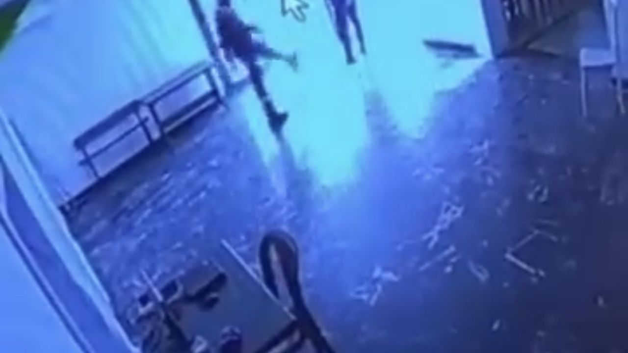 Elazığ'da belediye salonunda görevlinin kediye tekme atma anları kamerada