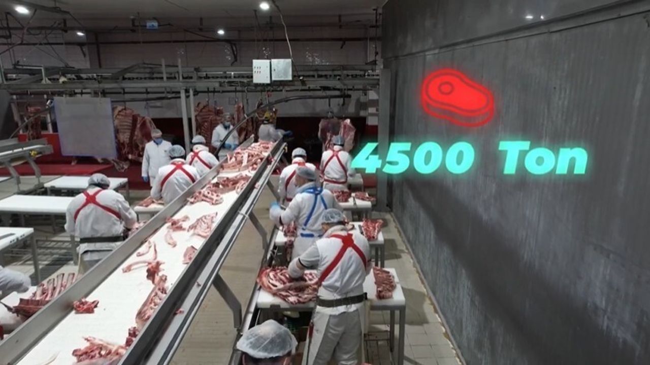 Elazığ'da Cevizdere Besi Organize Tarım Bölgesi altyapısı tamamlandı: Yıllık 4 bin 500 ton et, 1.250 kişiye istihdam