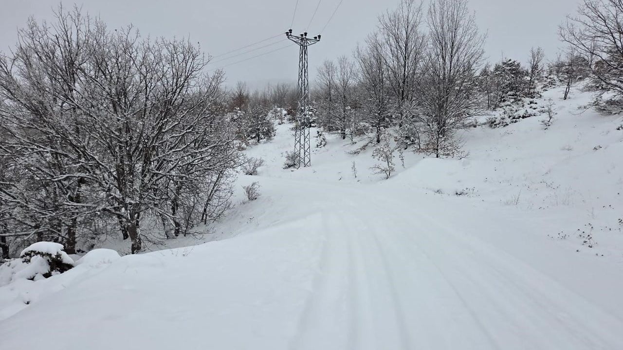 Elazığ'da kar yağışı 311 köy yolunu ulaşıma kapattı