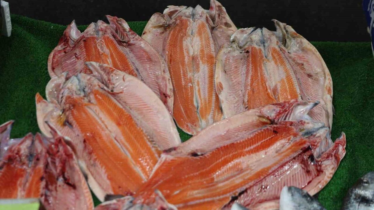 Elazığ'da Soğuyan Hava Balık Talebini Artırdı: Hamsi, İstavrit, Alabalık ve Somon Öne Çıkıyor