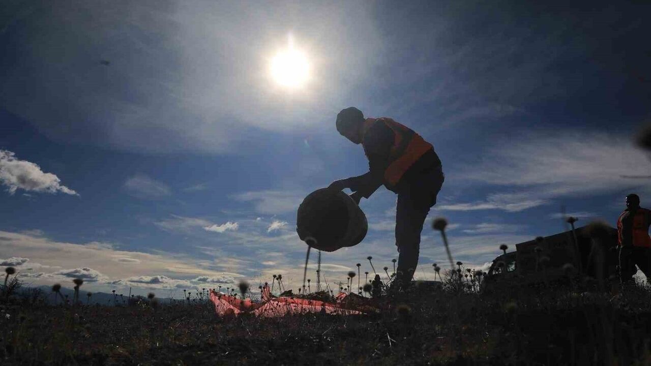 Elazığ'da sokak ve yaban hayvanlarına yem bırakıldı
