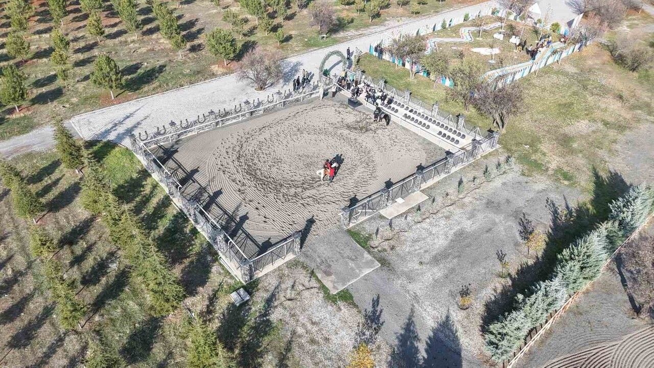 Elazığ Hipodromu'nda öğrenciler empati parkuru ve atla terapi ile engelleri deneyimledi