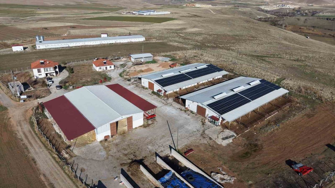 Elazığlı üretici TKDK hibesini kullanarak 300 baş kapasiteli modern çiftlik kurdu