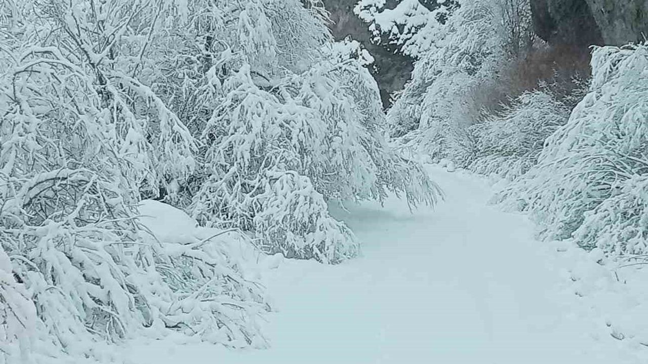Eleşkirt'te 10 köy yolu kar temizliğiyle yeniden ulaşıma açıldı