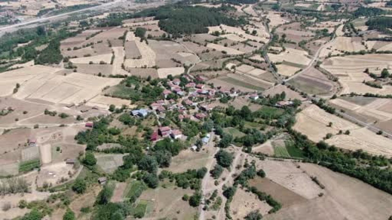 Emekli bomba imha uzmanı Şaban Meşeoğlu, ahşap hat sanatıyla evini müzeye dönüştürdü