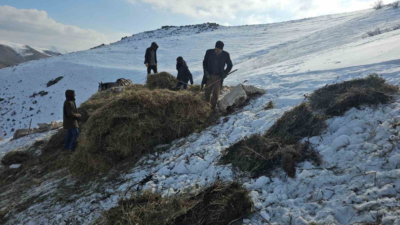 Erciş’te asırlık kış mesaisi: Otlar kızaklarla köye taşınıyor