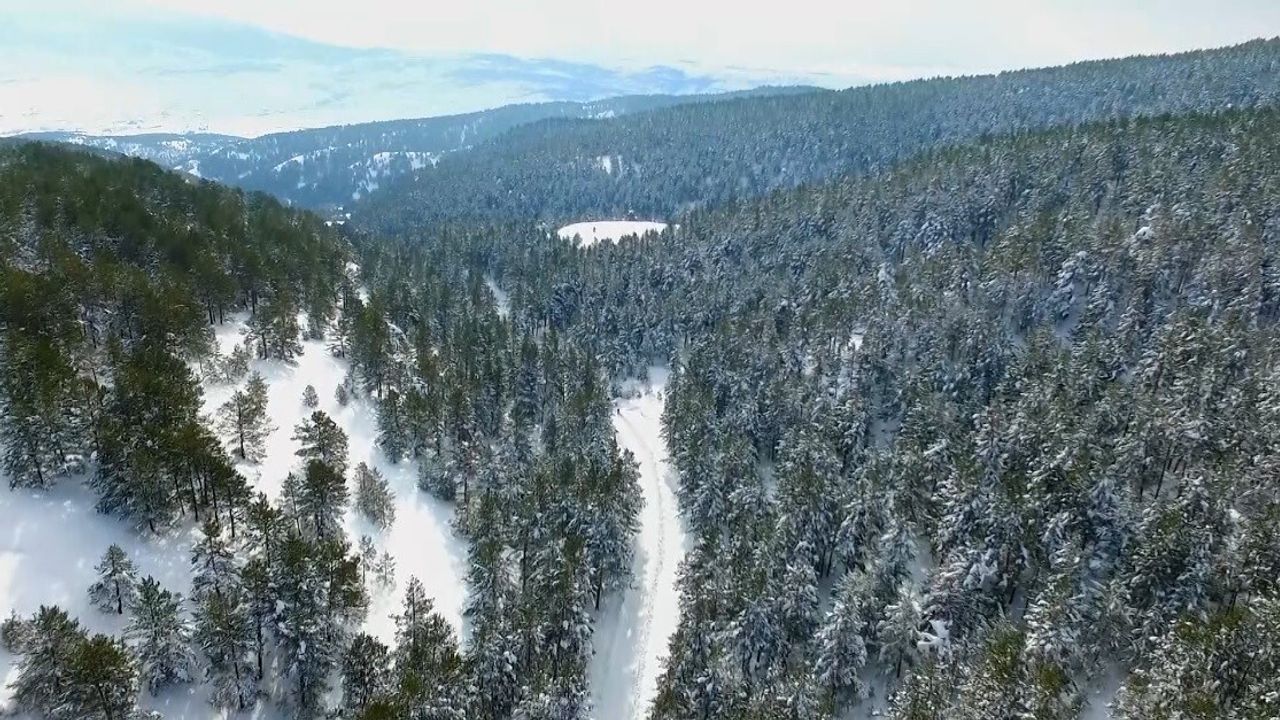 Erzincan'da Dumanlı Tabiat Parkı beyaza büründü — Kartpostal kış manzaraları