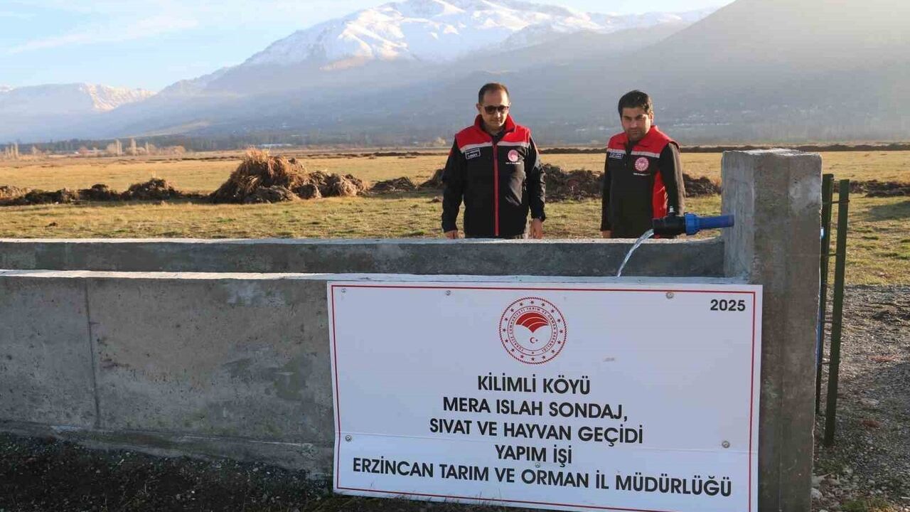 Erzincan'da Kilimli, Beşsaray ve Ağılözü meraları ıslah edilerek yeniden kullanıma açıldı