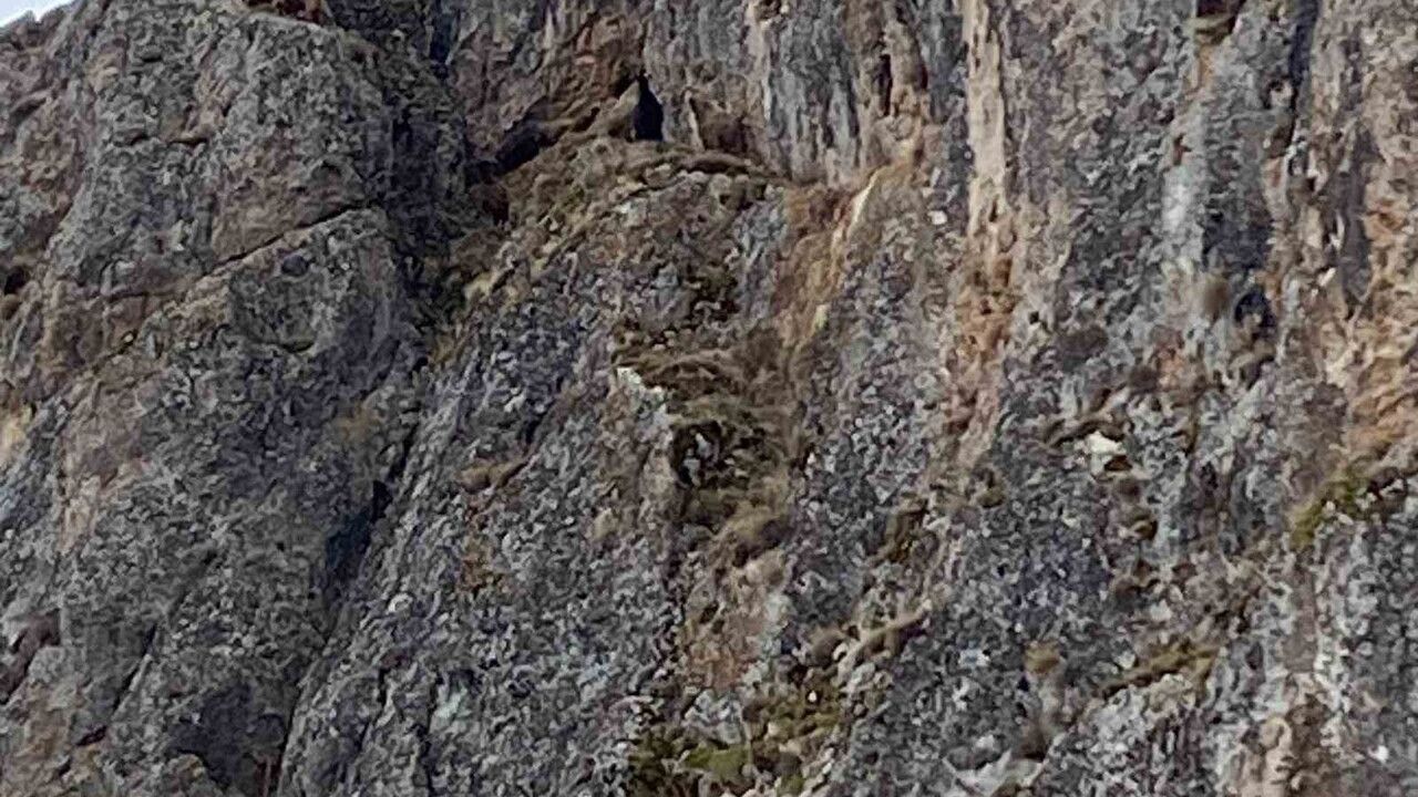 Erzincan'da Mahsur Kalan 10 Keçi İçin JAK ve AFAD Kurtarma Çalışması