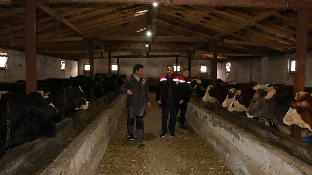 Erzincan’da manda yetiştiriciliği için saha incelemeleri ve canlandırma çalışmaları sürüyor