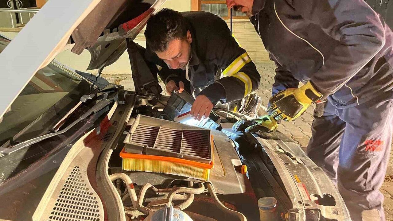 Erzincan'da Motor Bölmesine Sıkışan Kedi İtfaiye Ekipleri Tarafından Kurtarıldı