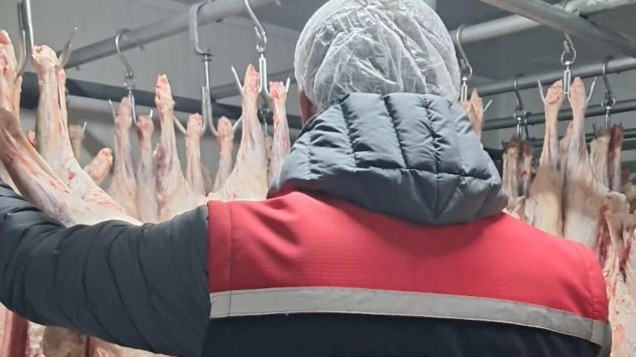 Erzurum'da 5-12 Aralık 2025 tarihlerinde 494 yem ve gıda işletmesi denetlendi