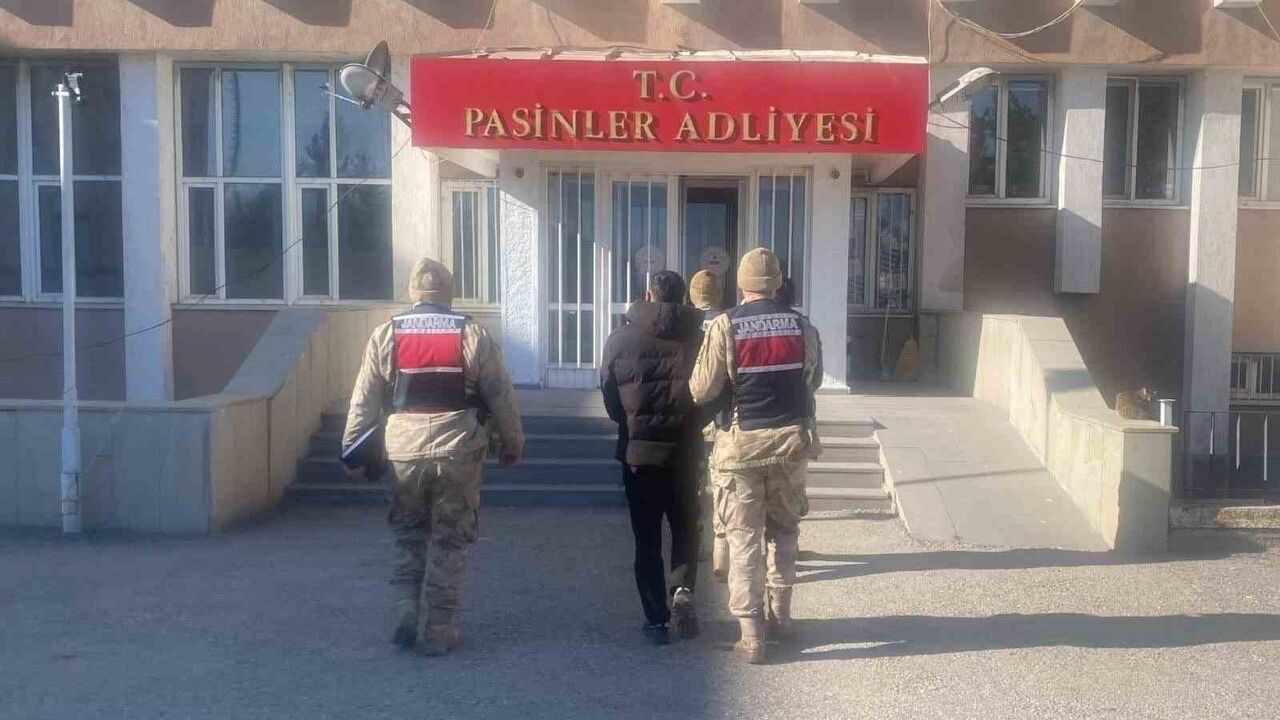 Erzurum Köprüköy'de 4 büyükbaş hırsızlığı: Jandarma 2 kişiyi kısa sürede yakaladı