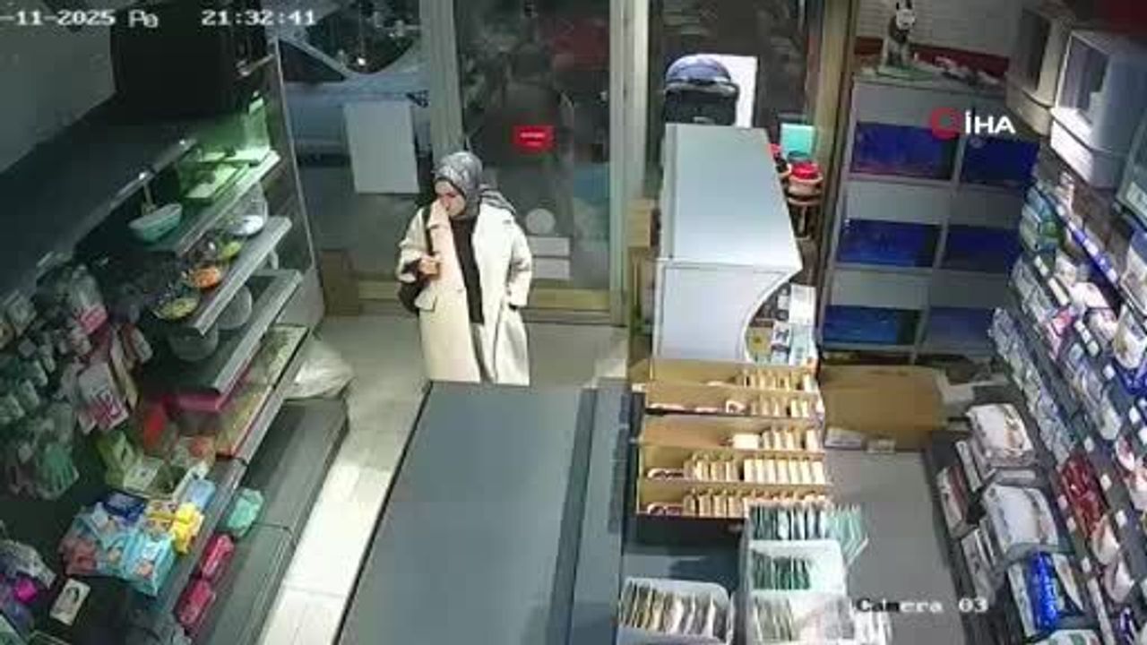 Esenyurt’ta 'kediyi pet shop’a bıraktı' iddiası: Kadın görüntüler yayılınca geri döndü