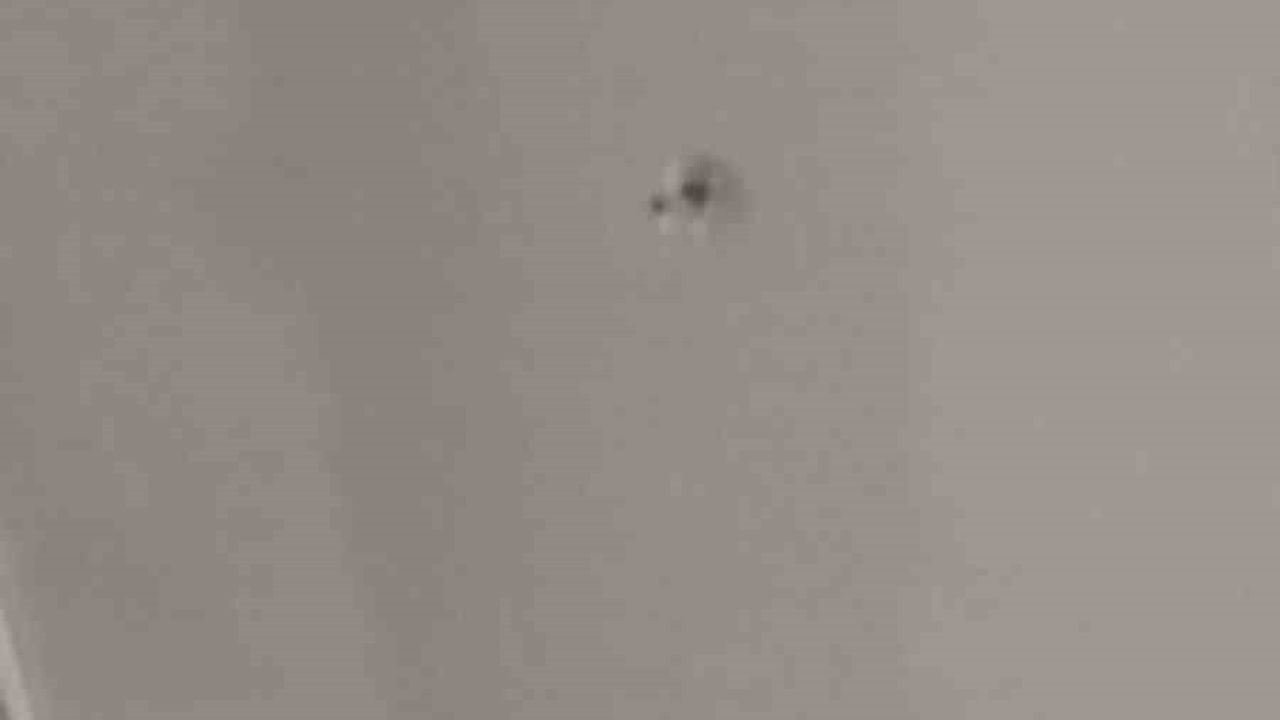 Esenyurt'ta Rastgele Ateş Açıldı: Ev Camına Kurşun İsabet Etti, Şahıs Gözaltına Alındı