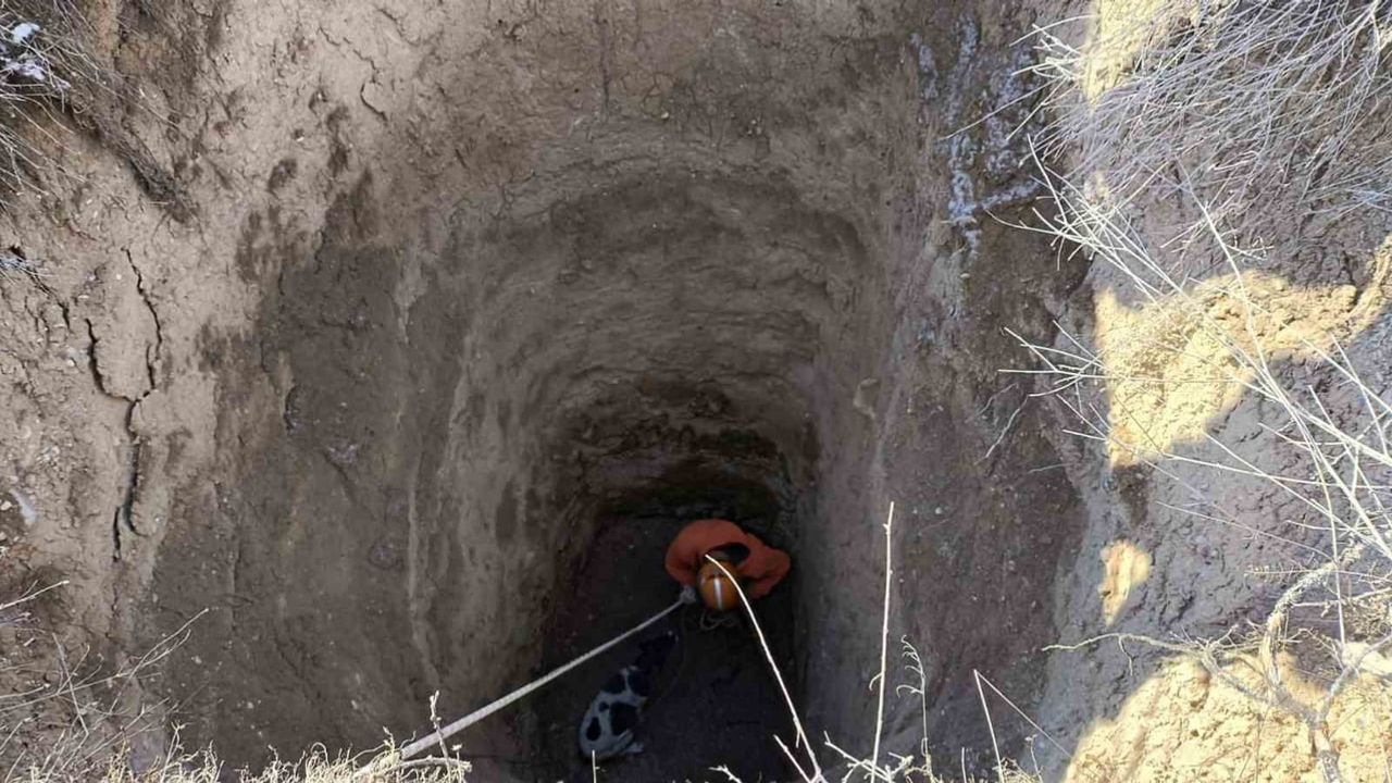 Eskişehir'de 12 metrelik çukura düşen köpek AFAD tarafından kurtarıldı