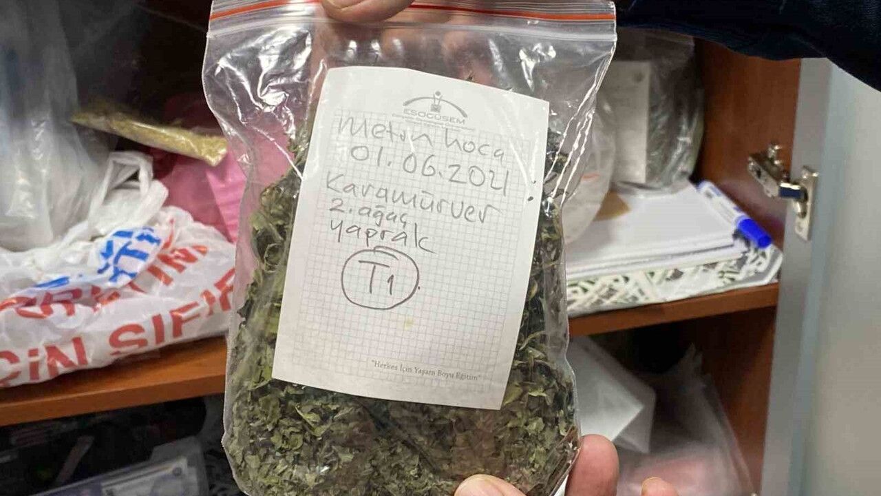 Eskişehir, Türkiye’nin en zengin tıbbi aromatik genetik kaynak merkezine ev sahipliği yapıyor