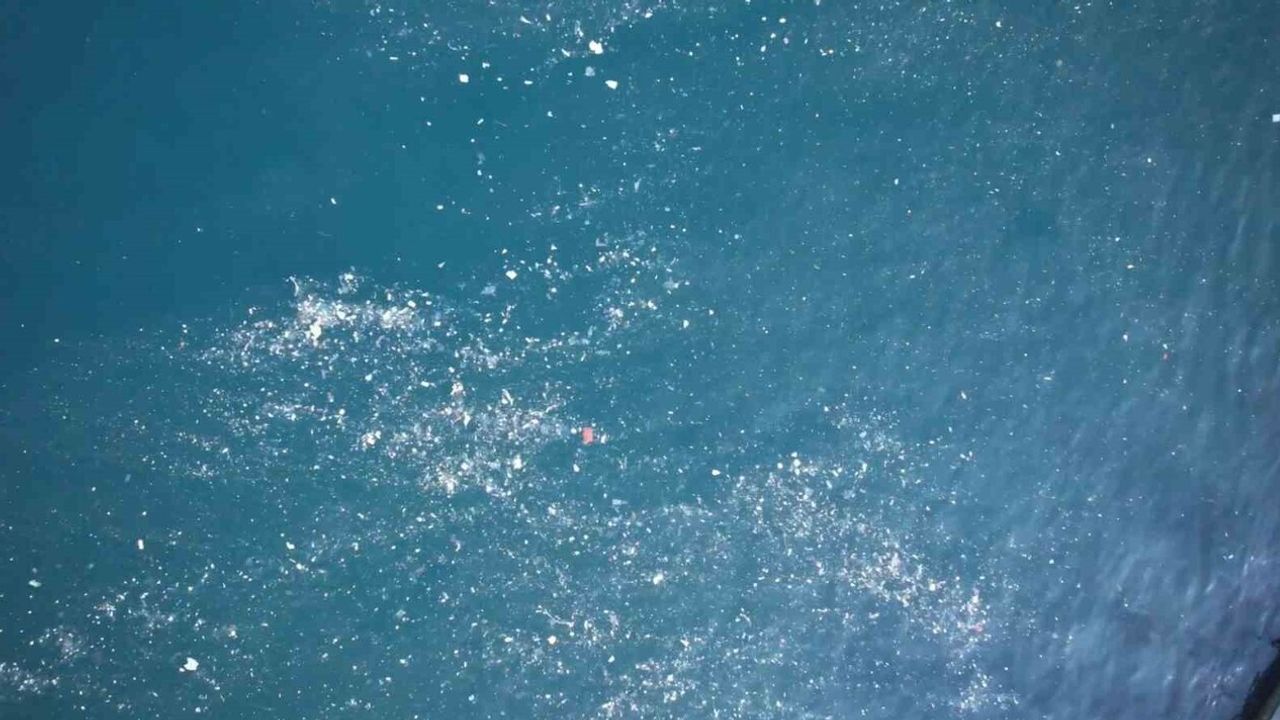 Fatih Balat sahilinde yüzey kirliliği: Balıkçılar ve yürüyüşçüler tepki gösterdi