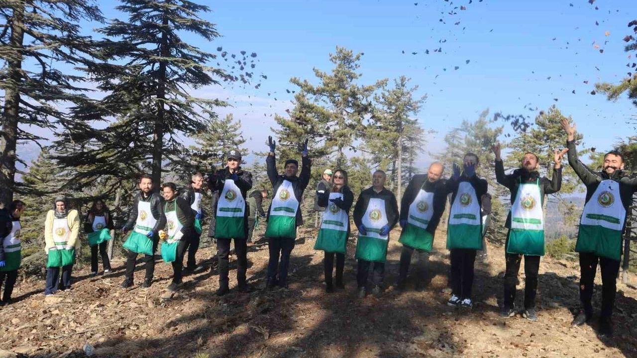 Feke’de sedir tohumu atma etkinliği: 6 dönümde tohumlar toprağa verildi