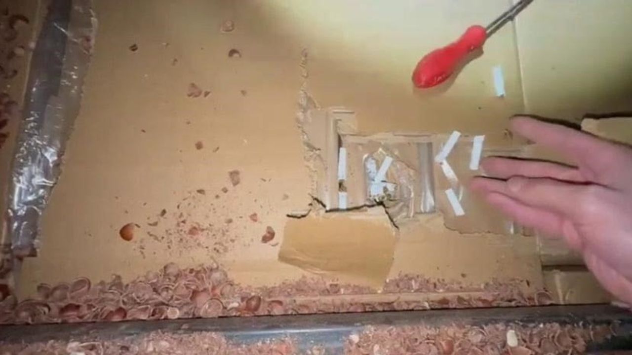 Fındıkla kamufle edilen tırda 30 milyon liralık 7,5 milyon dolu makaron ele geçirildi; 4 gözaltı