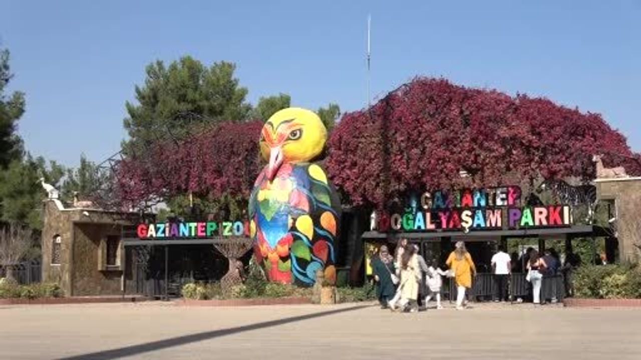Gaziantep Doğal Yaşam Parkı’nın maskotu zürafa Şakir, 32 yaşında hayatını kaybetti
