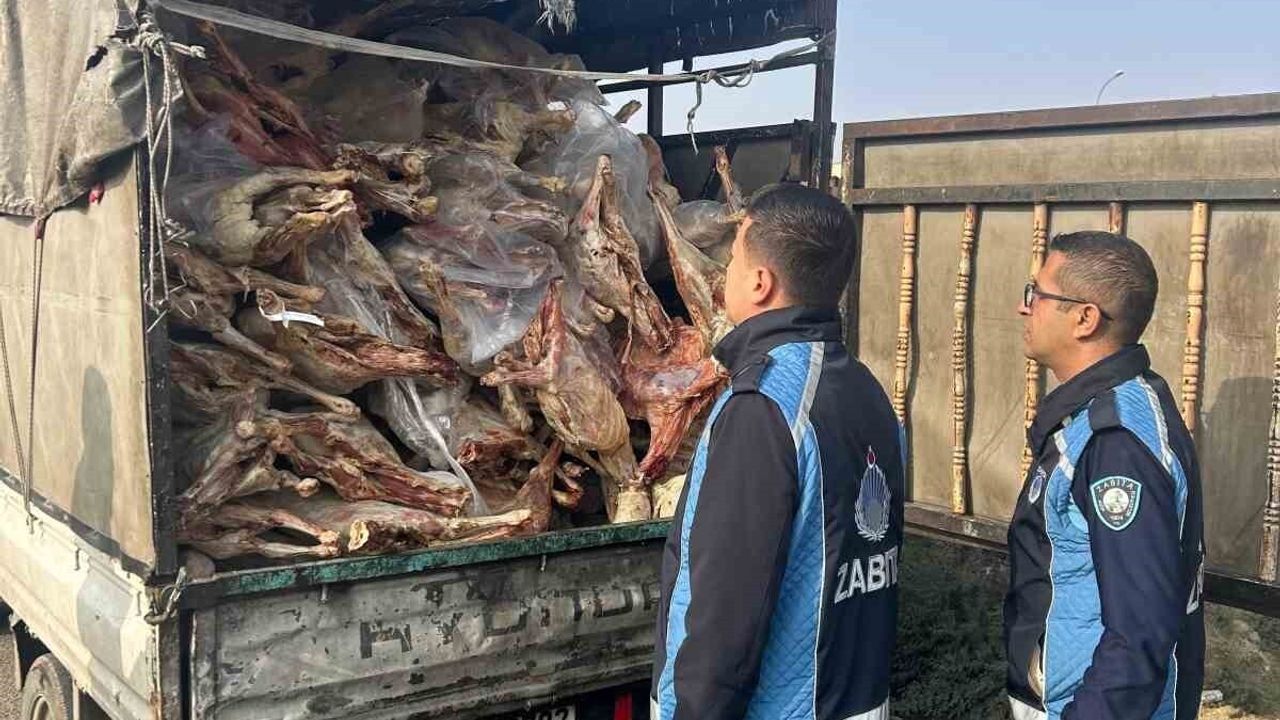 Gaziantep Nizip'te kamyonet kasasında kilolarca bozuk et ele geçirildi