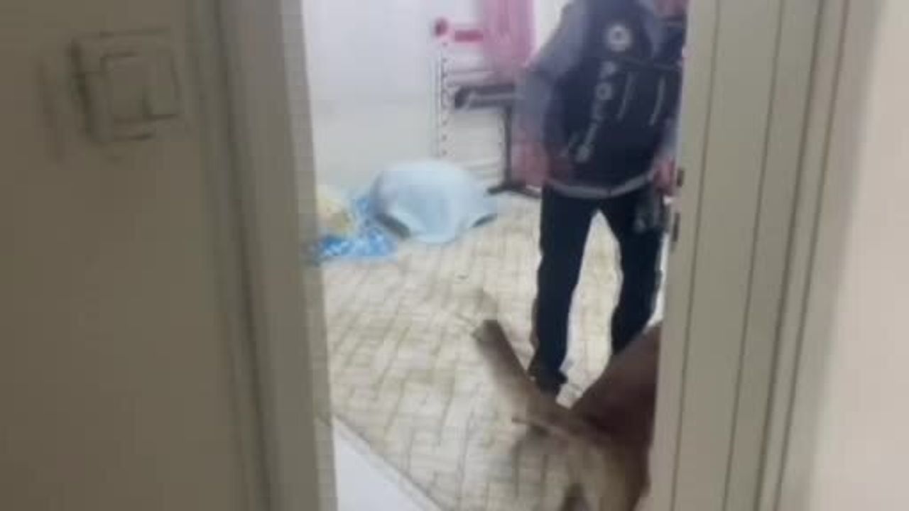 Gaziantep'te operasyon: 22 kilo 219 gram skunk ve çok sayıda ruhsatsız silah ele geçirildi