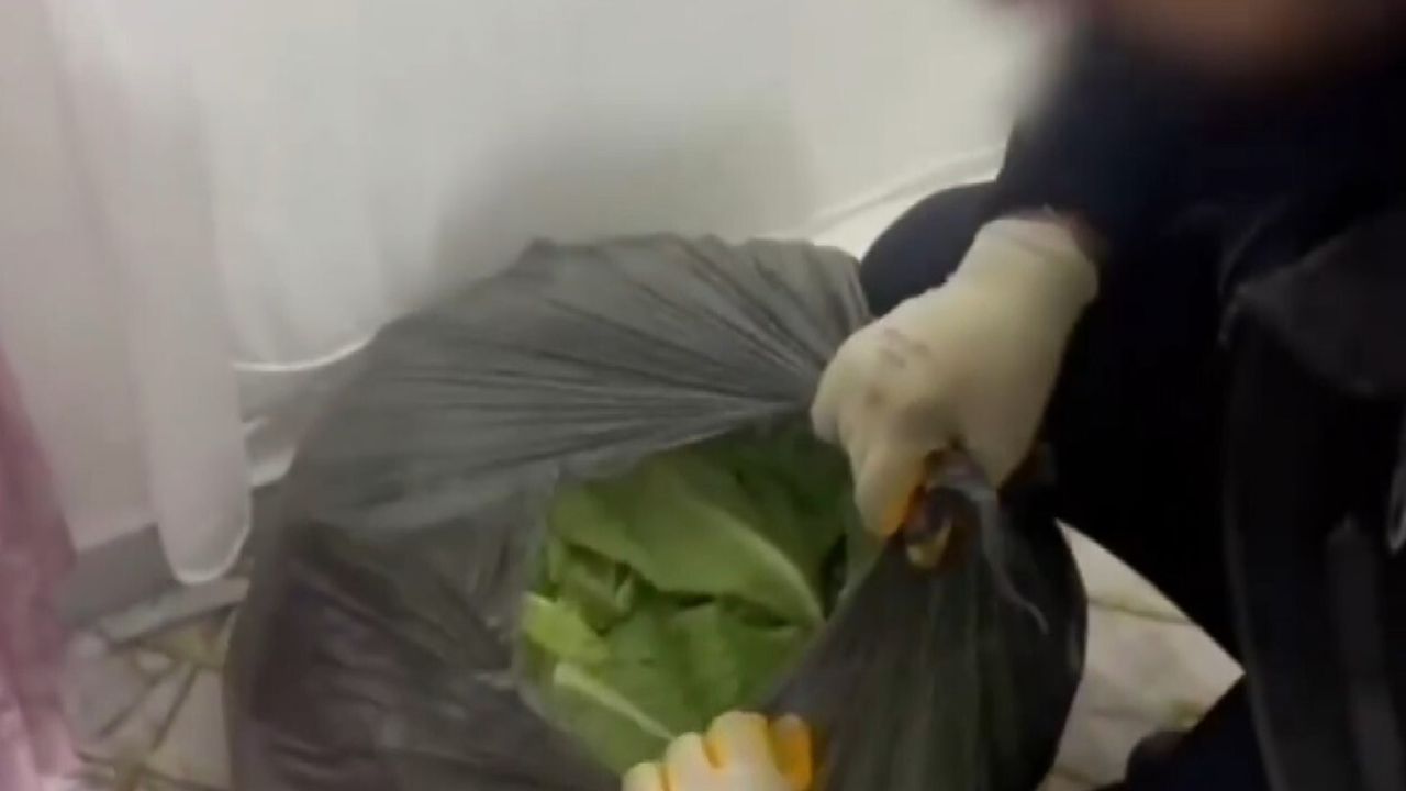 Gaziantep'te operasyonda 22 kilo 219 gram skunk ve çok sayıda silah ele geçirildi: 7 gözaltı