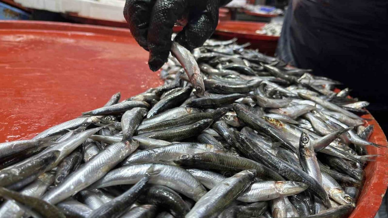 Geciken kış Konya balıkçılığını vurdu: Hamside daralma, fiyatlarda yükseliş