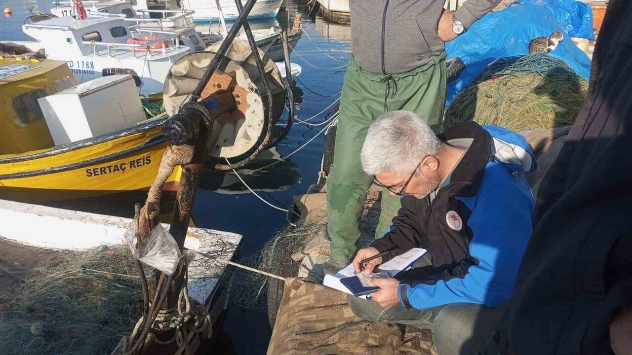 Gelibolu'da sürdürülebilir avcılık denetiminde 45 kilogram vatoza el kondu, 37 bin 770 lira ceza