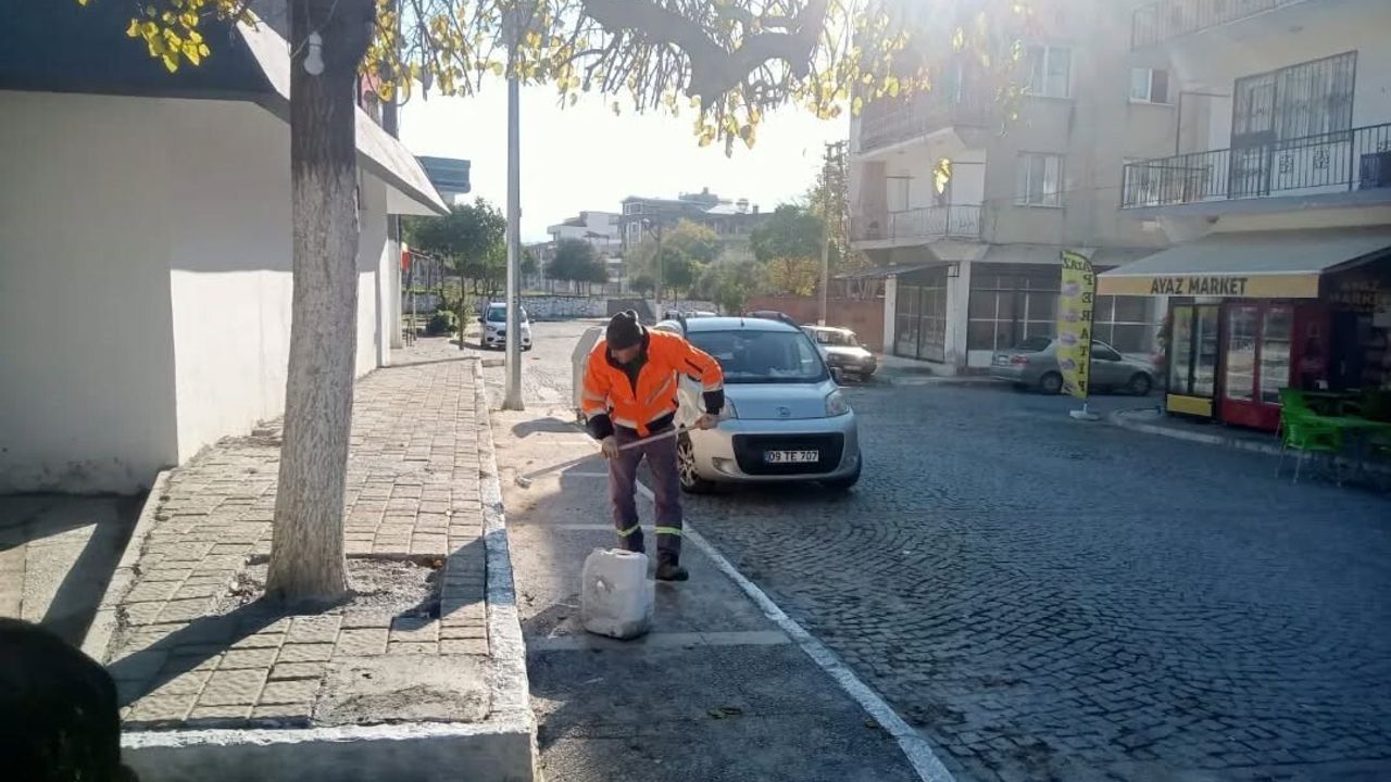 Germencik'te Pazarkuran Meydanı'nda kireçleme ve ağaç budama çalışması